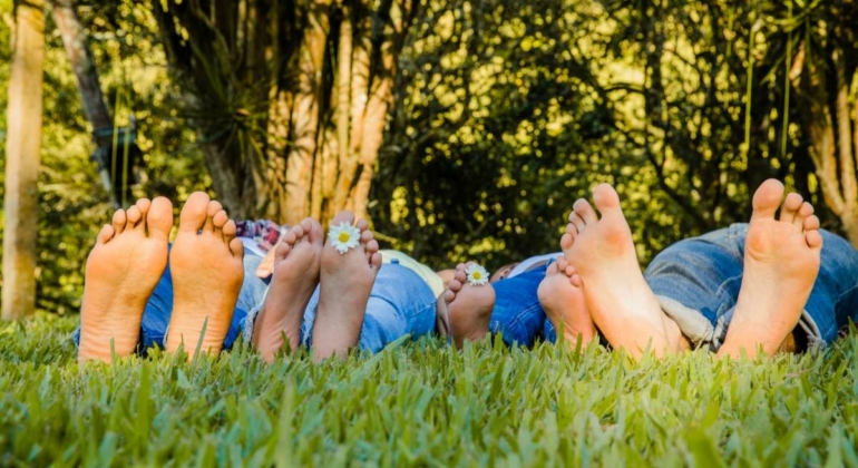 Pieds d'une famille allongée dans l'herbe